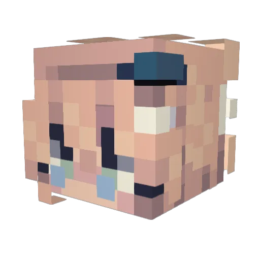 Nachtluchsxd Minecraft avatar head, 3D render