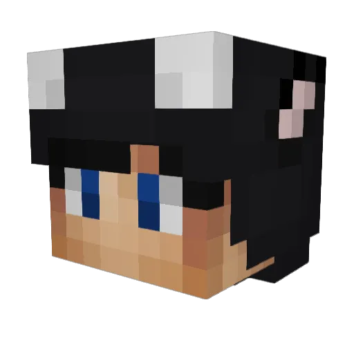 Nachtmodus Minecraft avatar head, 3D render