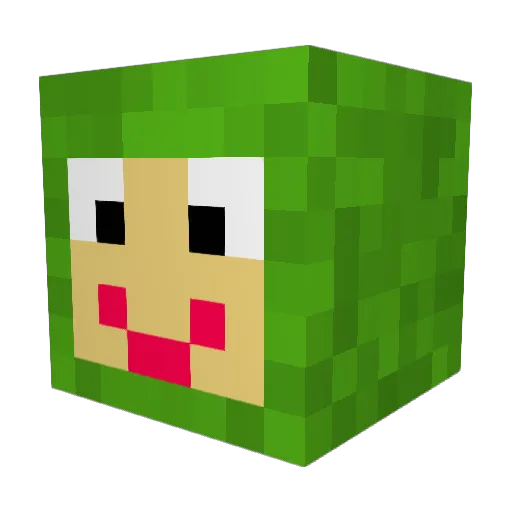 NachwuchsNinja Minecraft avatar head, 3D render