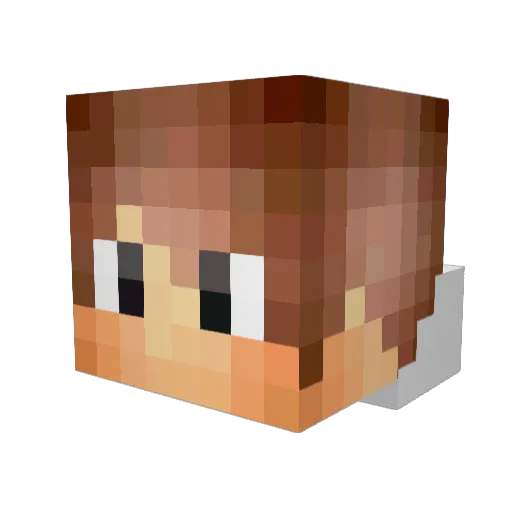 Nacif Minecraft avatar head, 3D render