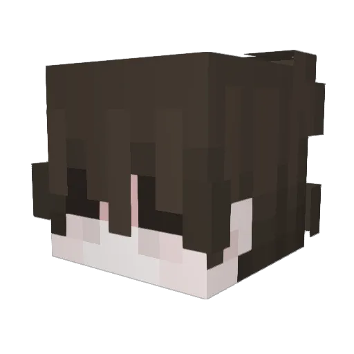 Nacomi_ Minecraft avatar head, 3D render