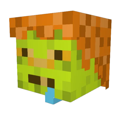 Nacon213 Minecraft avatar head, 3D render