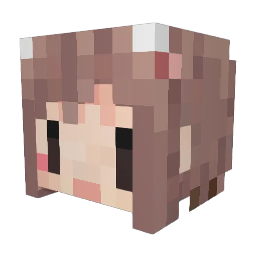Nacosan Minecraft avatar head, 3D render