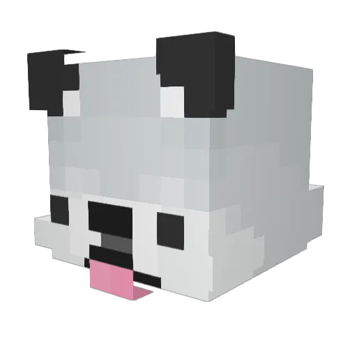 Nada2551 Minecraft avatar head, 3D render