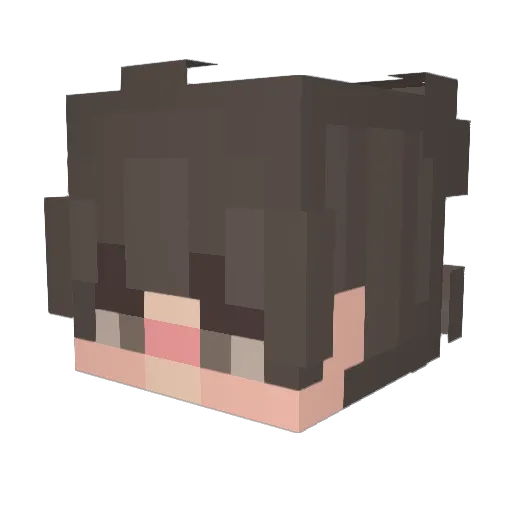 NadaDeTaco Minecraft avatar head, 3D render
