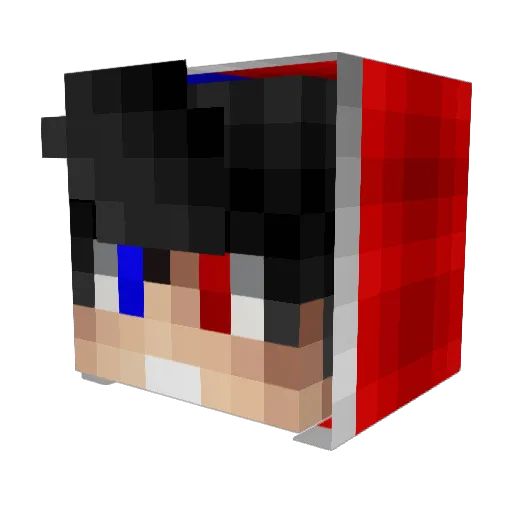 NaderQ899 Minecraft avatar head, 3D render
