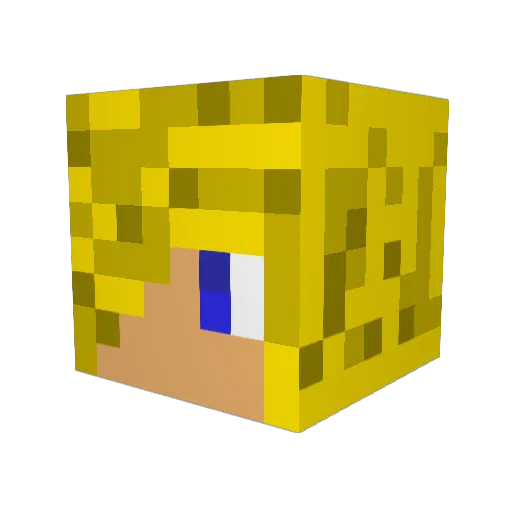 Nader_99 Minecraft avatar head, 3D render
