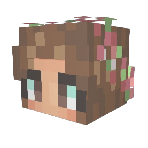 NadiNadi Minecraft avatar head, 3D render