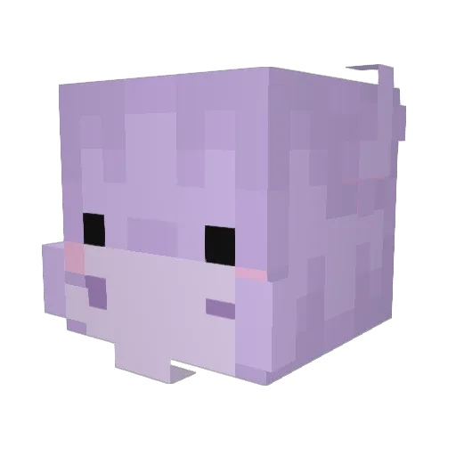 Nadi_Hippo Minecraft avatar head, 3D render