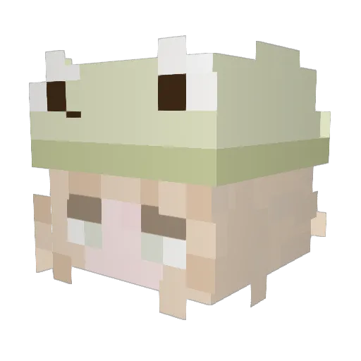 Nadia5000 Minecraft avatar head, 3D render