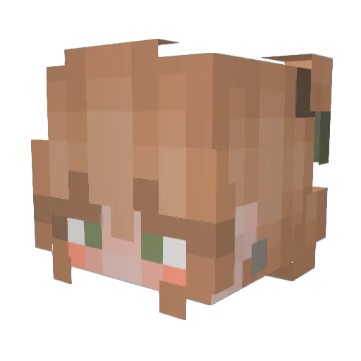 Nadiaas Minecraft avatar head, 3D render