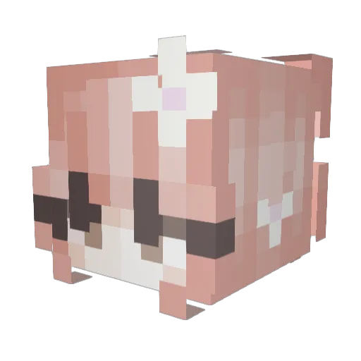 NadineBiene97 Minecraft avatar head, 3D render