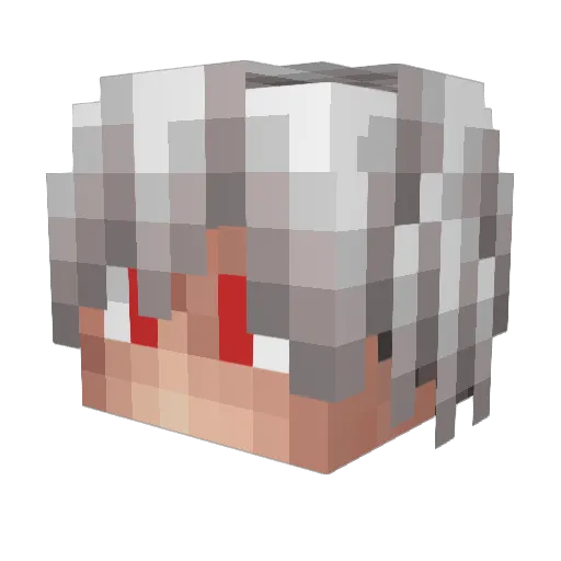 Nadir_Gamer Minecraft avatar head, 3D render