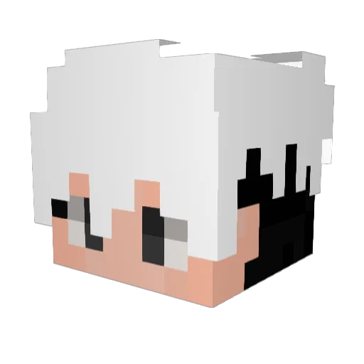 Nadirisim Minecraft avatar head, 3D render