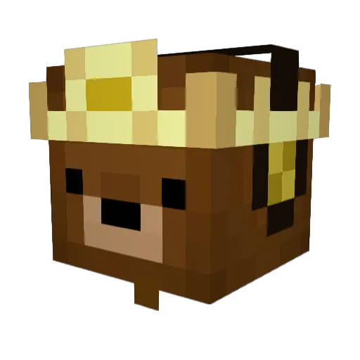Nadlee Minecraft avatar head, 3D render