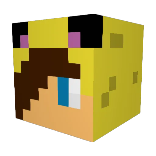 Nadomeister Minecraft avatar head, 3D render