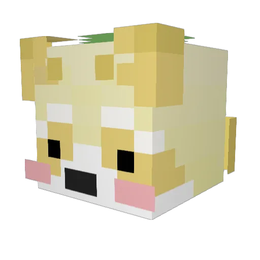 Nadrisin Minecraft avatar head, 3D render
