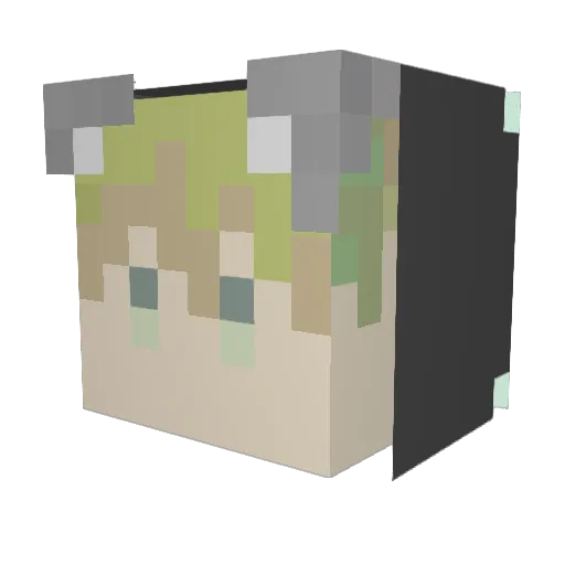 Naduke333 Minecraft avatar head, 3D render