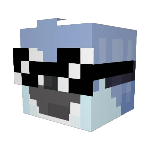 Nadx2112 Minecraft avatar head, 3D render