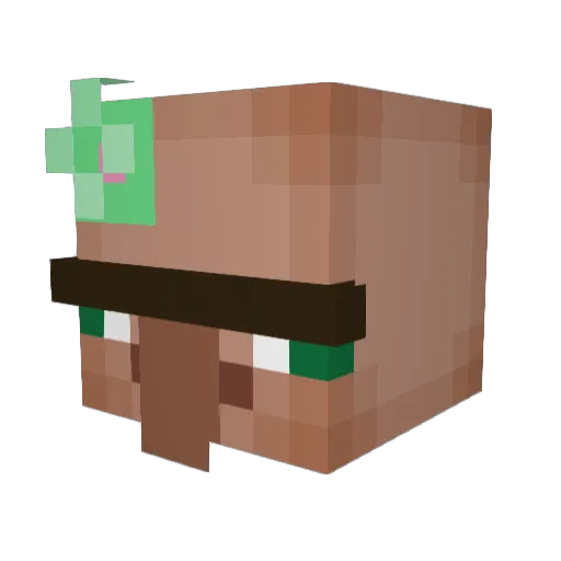 Naeb_Neeuq Minecraft avatar head, 3D render