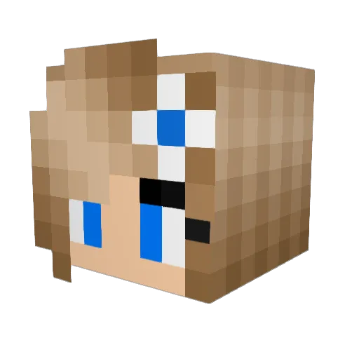 Naebeats Minecraft avatar head, 3D render
