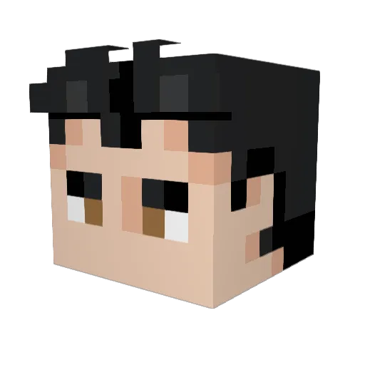 Naelis2000 Minecraft avatar head, 3D render