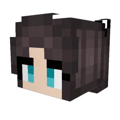 Naemerys Minecraft avatar head, 3D render