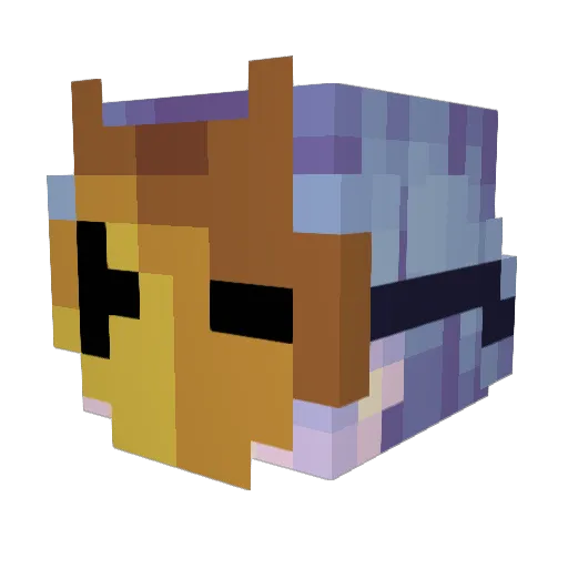 Naemis_ Minecraft avatar head, 3D render