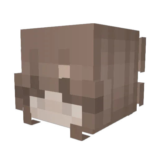 Naenae_11 Minecraft avatar head, 3D render