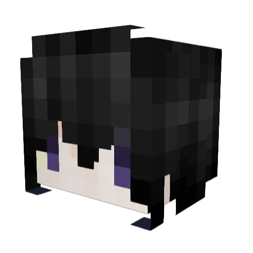 NaeonX_ Minecraft avatar head, 3D render