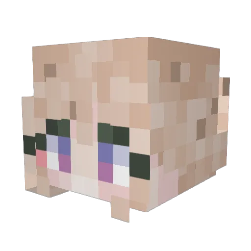 Naeun0804 Minecraft avatar head, 3D render