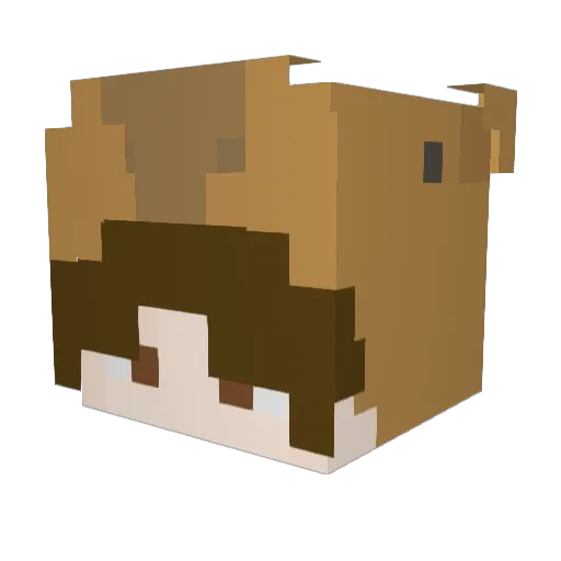 Nafeen Minecraft avatar head, 3D render