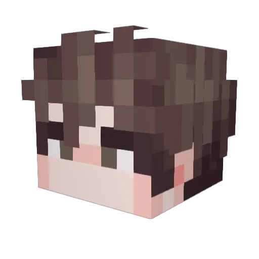 Nafi33_ Minecraft avatar head, 3D render