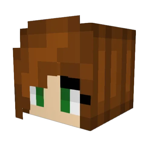 Nafise Minecraft avatar head, 3D render
