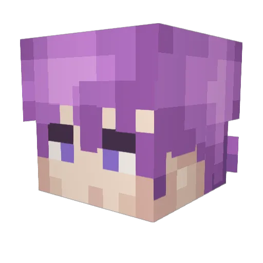 Nafiz633 Minecraft avatar head, 3D render