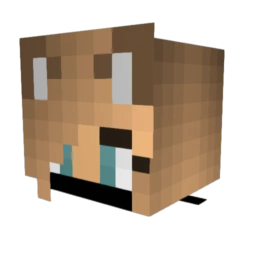 Nafud Minecraft avatar head, 3D render