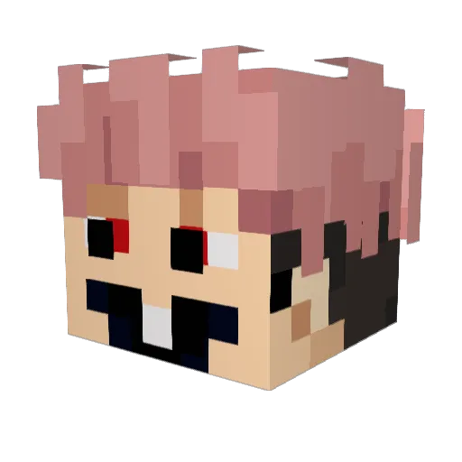 Naga1736 Minecraft avatar head, 3D render