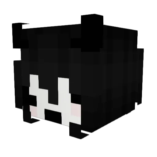 NagaraSapo Minecraft avatar head, 3D render