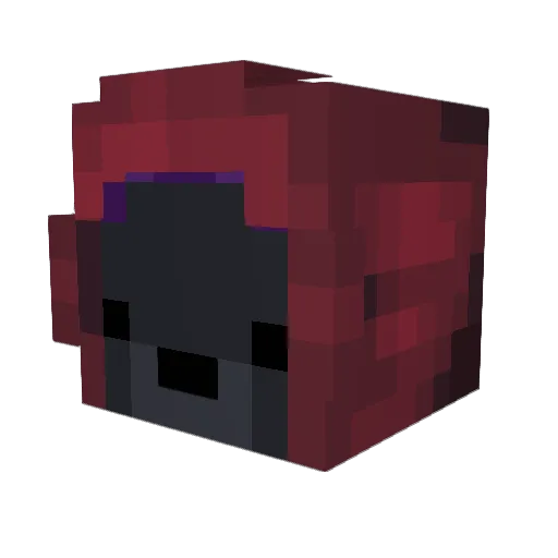 Nagard Minecraft avatar head, 3D render