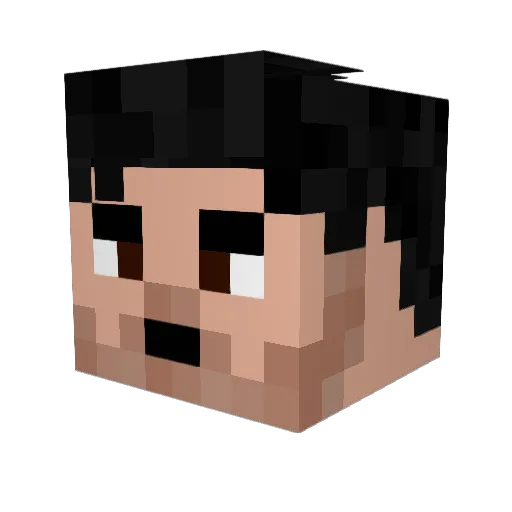 Nagashi_ Minecraft avatar head, 3D render