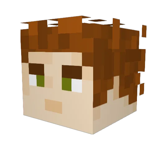 Nagashurai Minecraft avatar head, 3D render
