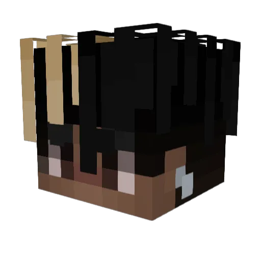 Nagga345 Minecraft avatar head, 3D render