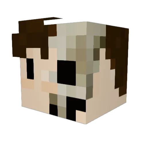 NaggingItch Minecraft avatar head, 3D render