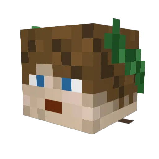 Naghyt Minecraft avatar head, 3D render
