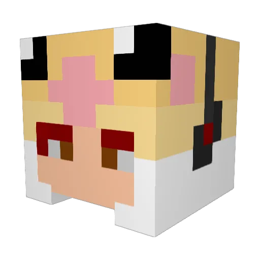 Nagirion Minecraft avatar head, 3D render