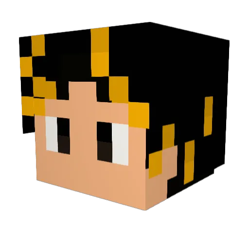 Nagito0505 Minecraft avatar head, 3D render