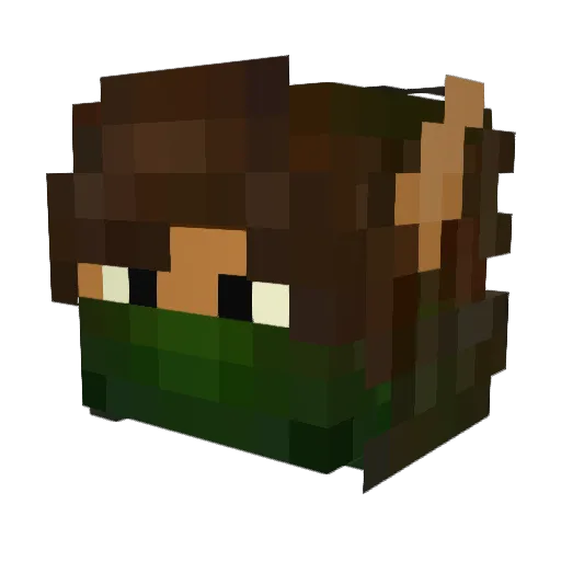 Nagroom Minecraft avatar head, 3D render