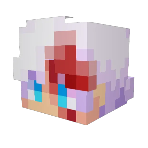 NahIdW1n Minecraft avatar head, 3D render