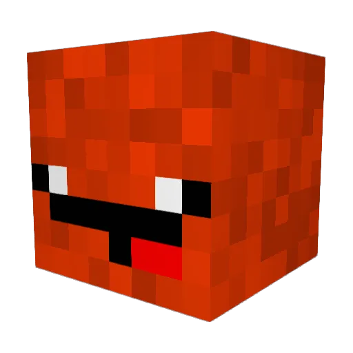 Nah_SYM Minecraft avatar head, 3D render