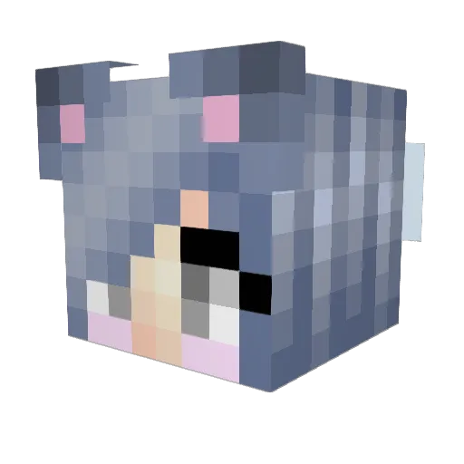 Nahadaste Minecraft avatar head, 3D render
